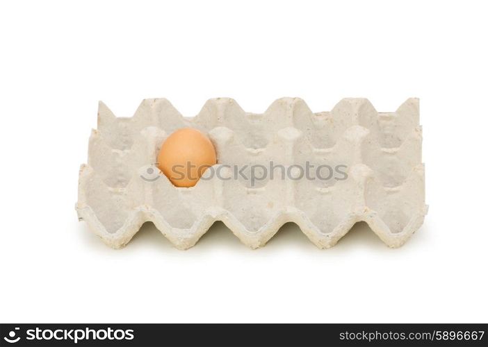 Single egg in carton isolated on white