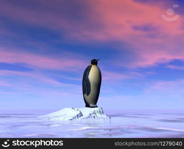 Single emperor penguin standing on an iceberg by sunset - 3D render. Single emperor penguin - 3D render