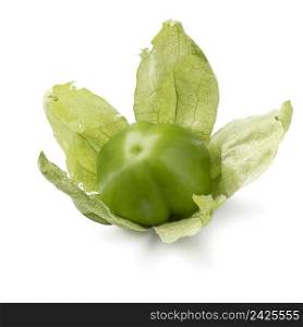 Single fresh green tomatillo in a husk isolated on white background