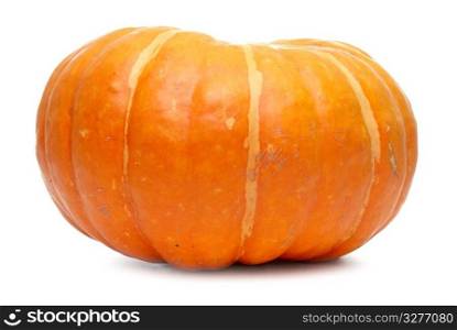 Single fresh pumpkin isolated on white background.