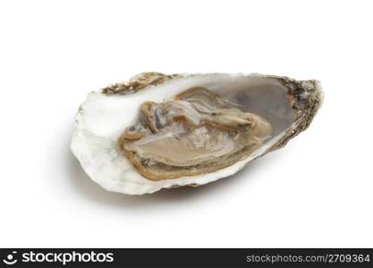Single fresh raw oyster in an open shell on white background