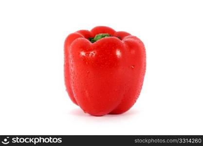 Single fresh red ripe pepper, isolated on white