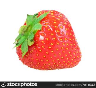 Single fresh red strawberry. Isolated on white background. Close-up. Studio photography.