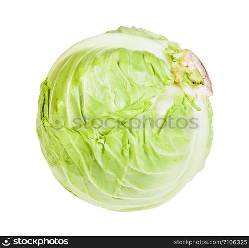 single fresh white cabbage isolated on white background