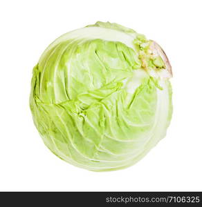 single fresh white cabbage isolated on white background