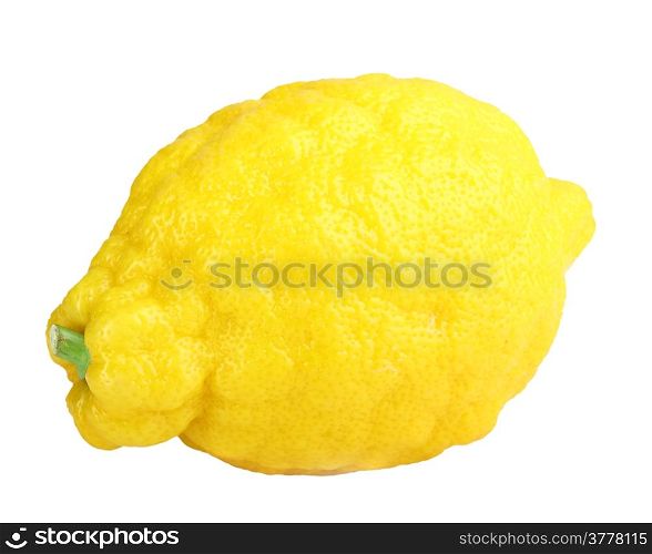 Single fresh yellow lemon. Isolated on white background. Close-up. Studio photography.