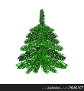 Single Green Fir. Green Fir Isolated on White Background. Symbol of Christmas