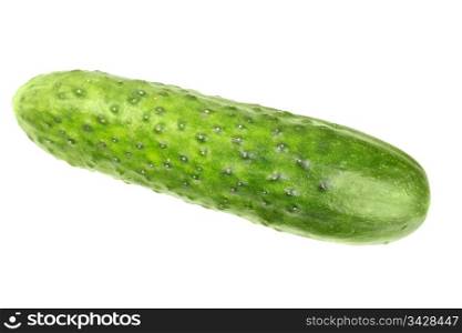 Single green fresh cucumber. Close-up. Isolated on white background. Studio photography.
