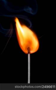 Single match stick burning bright big fire isolated on black