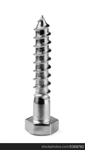 Single metal screw isolated on white