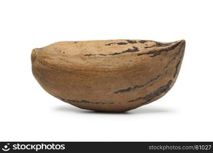 Single organic unshelled pecan nut on white background