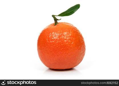 Single perfect orange or tangerine fresh fruit with leaf on a white background in close-up