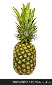Single pineapple isolated on a white background