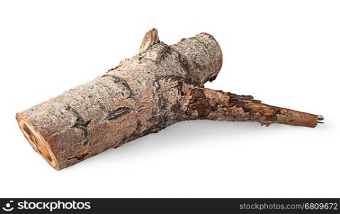 Single poplar log horizontally flipped isolated on white background
