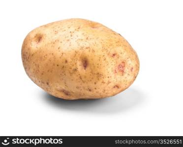 single potato in peel isolated on white