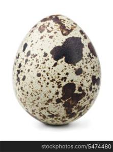 Single quail egg isolated on white