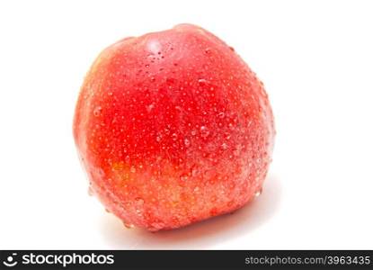 single red apple on white