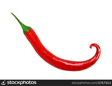 Single red fresh chilli-pepper of spiral form. Close-up. Isolated on white background. Studio photography.