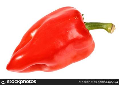 Single red fresh pepper. Close-up. Isolated on white background. Studio photography.