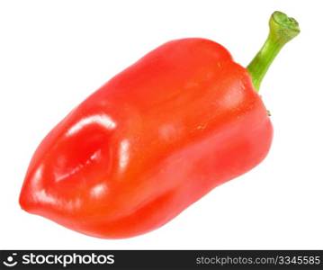 Single red fresh pepper. Close-up. Isolated on white background. Studio photography.