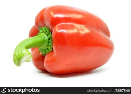 Single red pepper isolated on white background