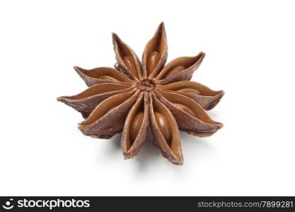 Single star anise seed on white background