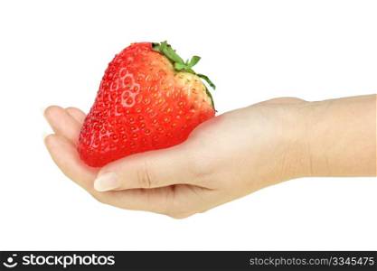 Single super-big red strawberry in a hand of woman. Isolated on white background. Close-up. Studio photography.