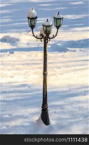 Single three lamp in the snow outside alone. Single three lamp in the snow outside