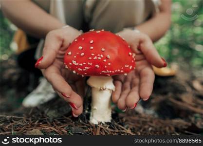 Single toxic and hallucinogen fly agaric with bright red cap stands in forest. Wild poisonous mushroom on natural bright autumn background. Harvest fungi concept. Toadstool fungus. High quality photo. Single toxic and hallucinogen fly agaric with bright red cap stands in forest.