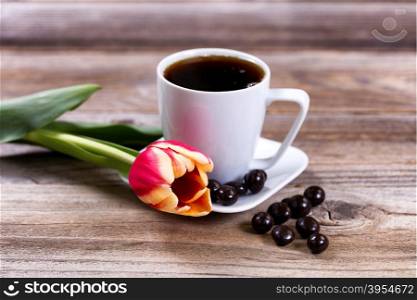 Single tulip in front of a cup of coffee and dark chocolate on rustic wood. Selective focus on front part of flower.