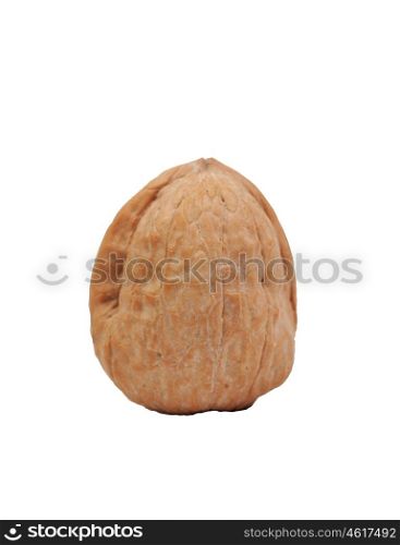 Single walnut isolated on a white background.