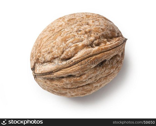 Single walnut isolated on a white background with clipping path