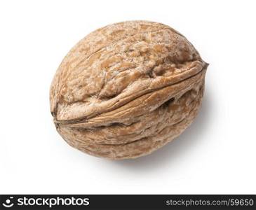 Single walnut isolated on a white background with clipping path