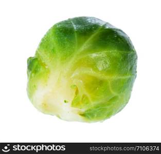 single wet ripe brussels sprout isolated on white background