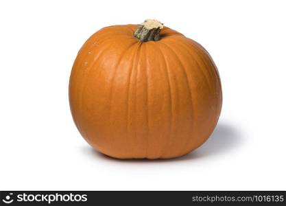 Single whole orange pumpkin isolated on white background
