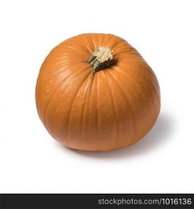 Single whole orange pumpkin seen from a high angle isolated on white background