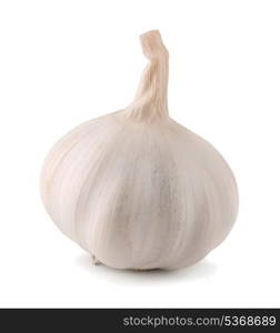 Single whole white garlic isolated on white