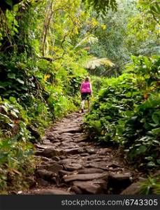 Single woman walker on Kalalau trail along Na Pali coast in Kauai Hawaii