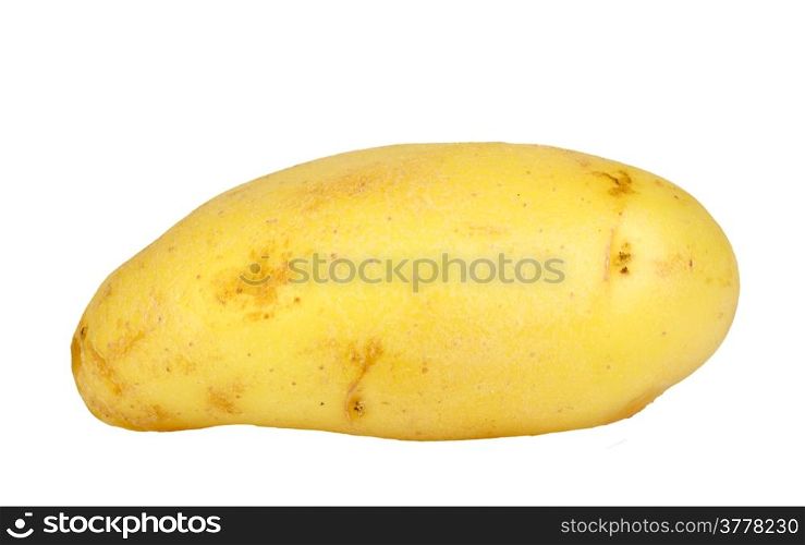 Single yellow raw potato. Isolated on white background. Close-up. Studio photography.