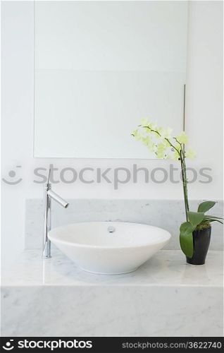 Sink and potted plant in bathroom