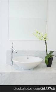 Sink and potted plant in bathroom