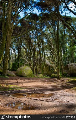 Sintra Portugal. 25 March 2017.The siamese rocks in Sintra mountain on the road for Peninha. Sintra Portugal. Sintra, Portugal. photography by Ricardo Rocha.