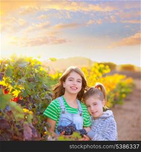 sister kid girs farmer hug in vineyard harvest in mediterranean autumn field at sunset