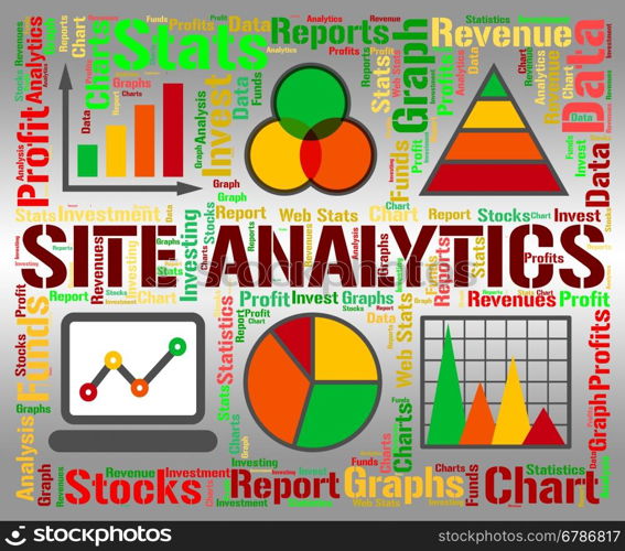 Site Analytics Showing Business Graph And Www