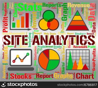 Site Analytics Showing Business Graph And Www