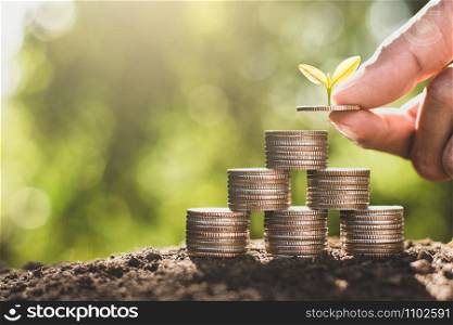 Six coin stacked on old stumps and seedlings are growing on top, the concept of financial growth.