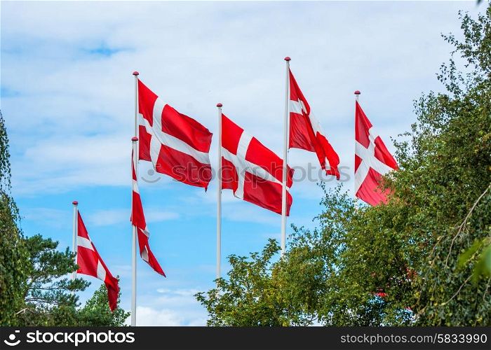 Six danish flags on flagpoles on a summers day