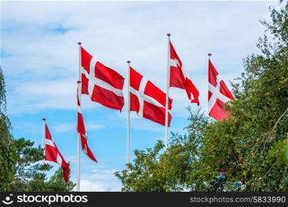Six danish flags on flagpoles on a summers day
