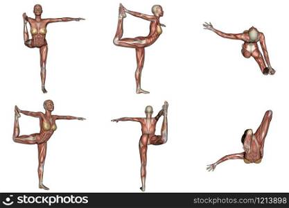 Six different view of dancer yoga pose for woman with muscle visible in white background. Dancer yoga pose for woman with muscle visible