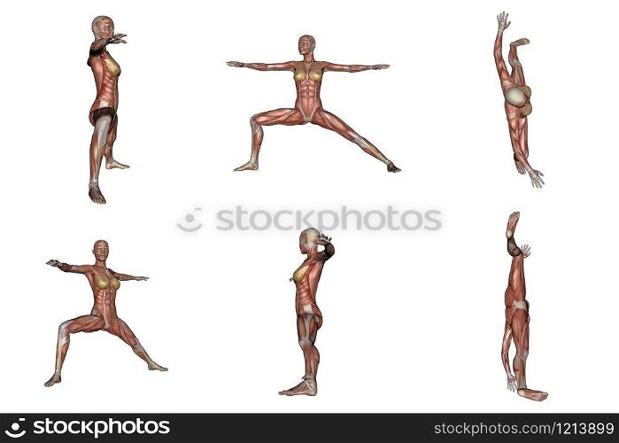 Six different view of warrior yoga pose for woman with muscle visible in white background. Warrior yoga pose for woman with muscle visible